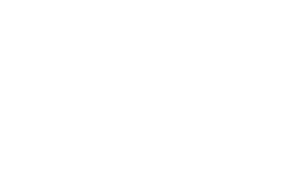 Wise Products logo